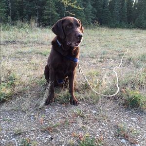 Meet your Posher, Danielle