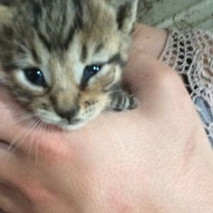 Meet your Posher, Elexis
