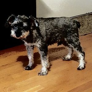 Meet your Posher, Jamie