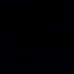 Meet your Posher, Leo