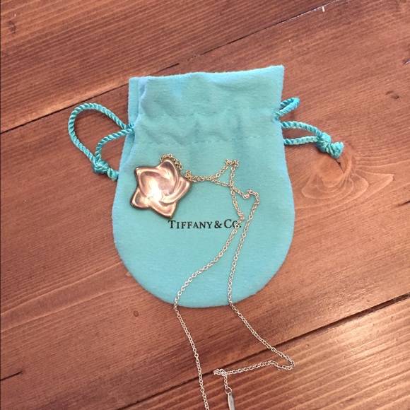 Authentic Tiffany & Co Star Necklace.
