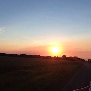 Meet your Posher, Jayden