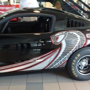 Meet your Posher, Laurie