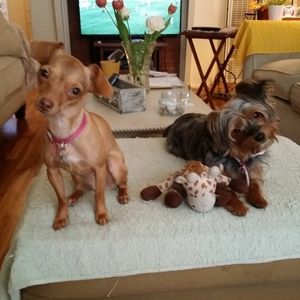 Meet your Posher, Cristina