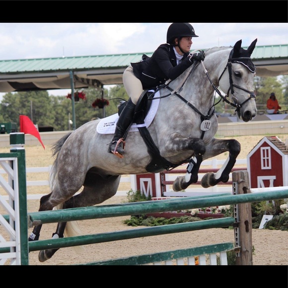 Meet your Posher, Devon - Picture 2 of 2