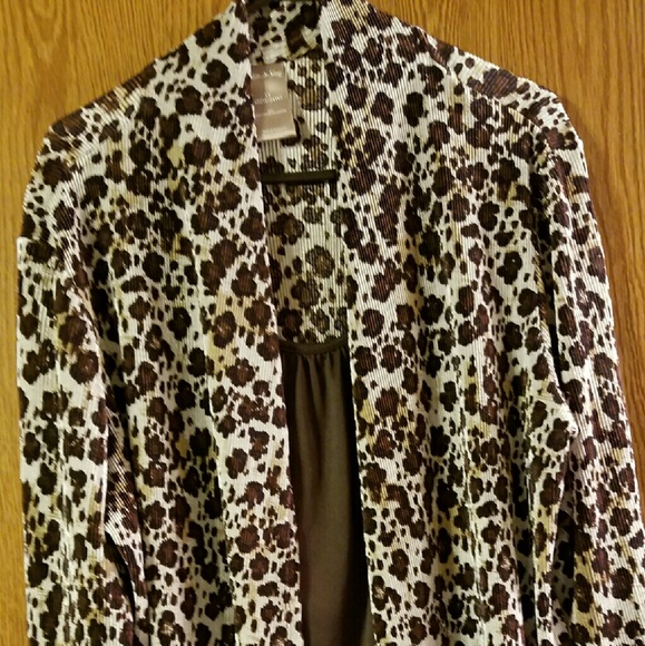 Women's Plus Size Top