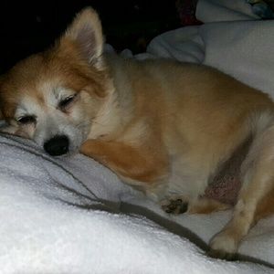 Meet your Posher, Kristina