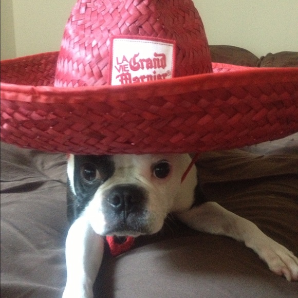 Meet your Posher, Stella