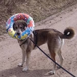 Meet your Posher, Sandra