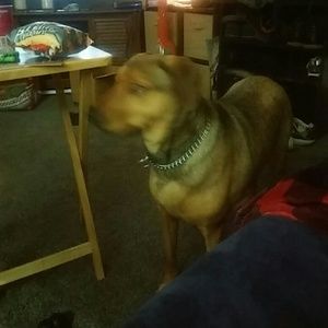 Meet your Posher, Randy