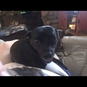 Meet your Posher, Shelia