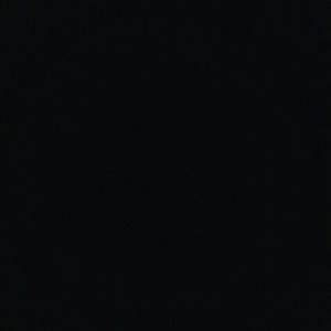 Meet your Posher, Mona