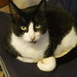 Meet your Posher, Kay