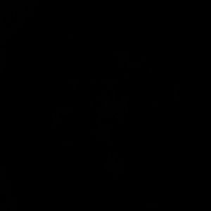 Meet your Posher, Kara