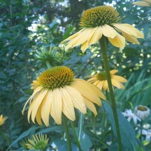 Meet your Posher, Dena