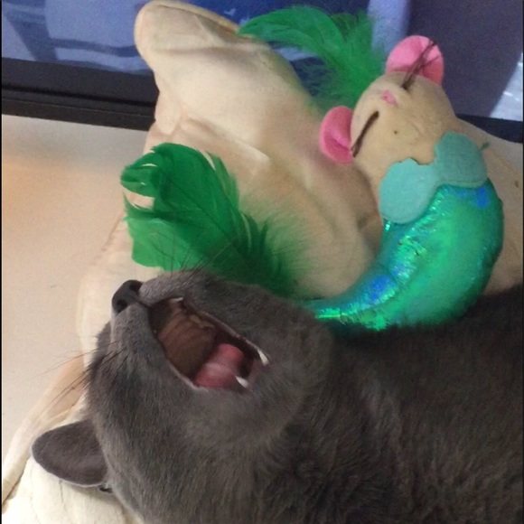 Meet your Posher, Lisa - Picture 2 of 2