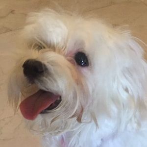 Meet your Posher, Shima