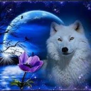 Meet your Posher, Delorean