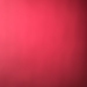 Meet your Posher, Bianca