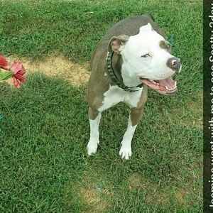 Meet your Posher, Kari