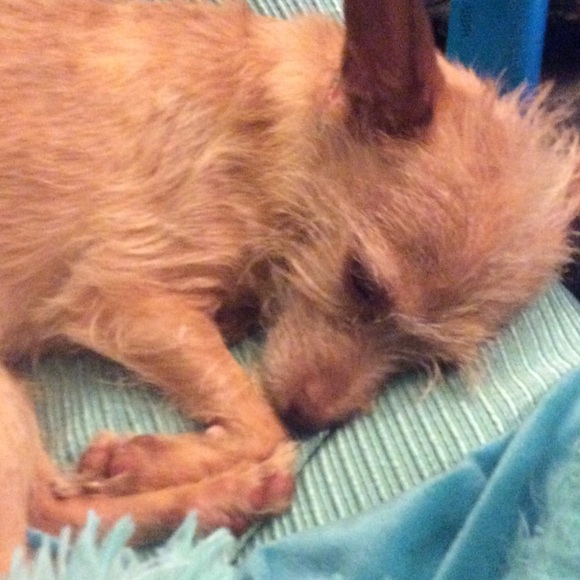 Meet your Posher, Shannon - Picture 1 of 1