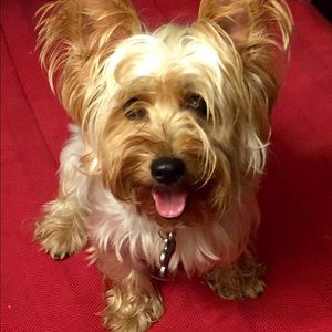 Meet your Posher, Kristina