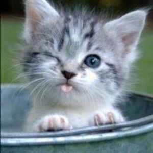 Meet your Posher, Bethany