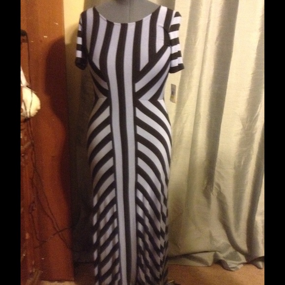 ECI NY MAXI