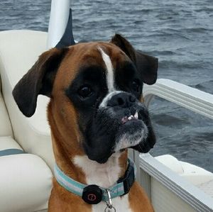 Meet your Posher, Jenna