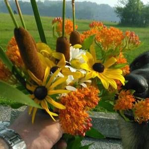 Meet your Posher, Ania