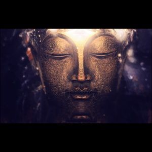 Meet your Posher, Craig