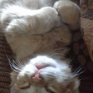 Meet your Posher, Marla