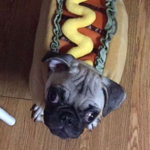 Meet your Posher, Julie