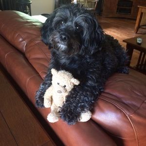 Meet your Posher, Helena