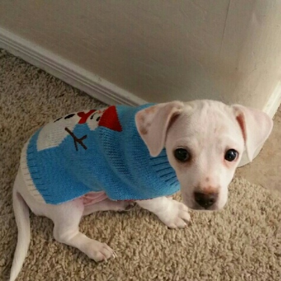 Meet your Posher, Eric - Picture 1 of 1