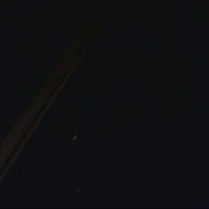 Meet your Posher, Doddie