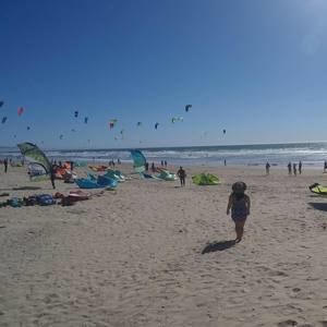 Meet your Posher, Ariel