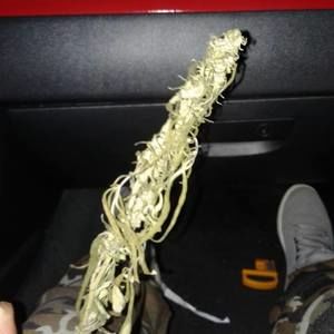 Meet your Posher, Noel