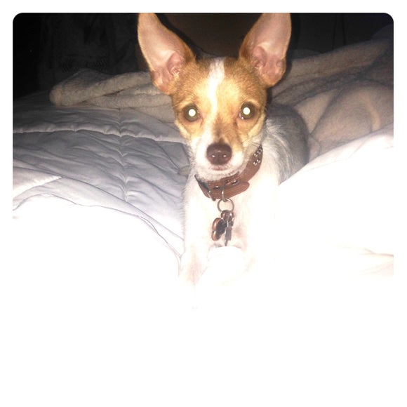 Meet your Posher, Melissa - Picture 2 of 2