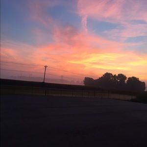 Meet your Posher, Darius