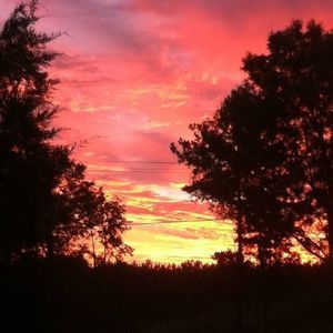 Meet your Posher, Summer