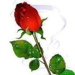 Meet your Posher, Carol