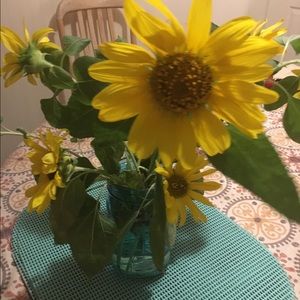 Meet your Posher, Francine