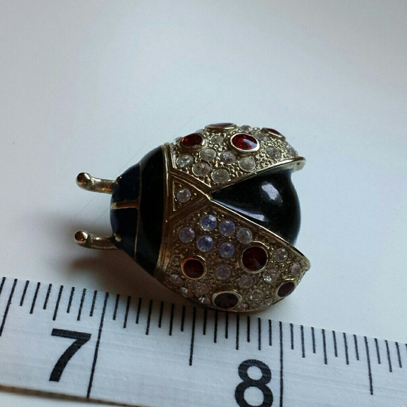 Ladybug pin