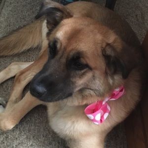 Meet your Posher, Lori