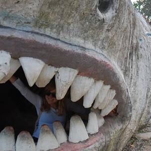 Meet your Posher, Cassie