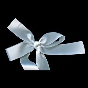 Meet your Posher, Charlotte