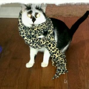 Meet your Posher, Esther