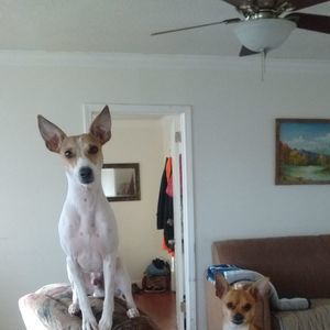 Meet your Posher, Lea