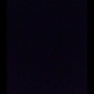 Meet your Posher, Raven